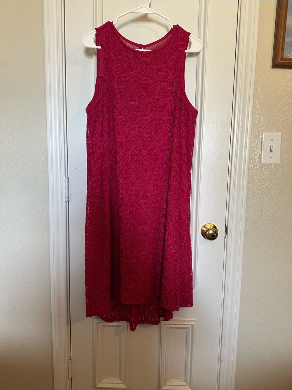 Fuschia Sleeveless Lace Shift Dress